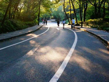 榮譽(yù)資質(zhì)